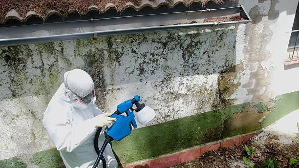 Trusted Commercial Mold Remediation service in Queenstown, MD - Cheap Mold Removal